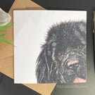 Newfoundland Dog Art Card. Blank or personalised for any occasion.