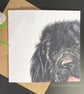 Newfoundland Card; Birthday, Blank or personalised Newfie dog art card. - Image 2