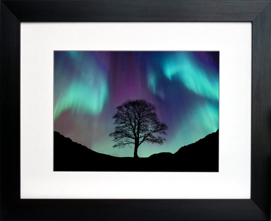 Celestial Light, Sycamore Gap Tree Fine Art Print