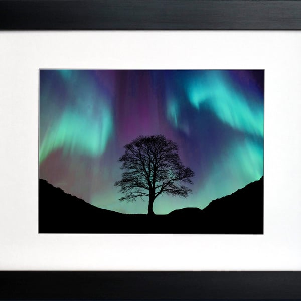Celestial Light, Sycamore Gap Tree Fine Art Print