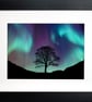 Celestial Light, Sycamore Gap Tree Fine Art Print