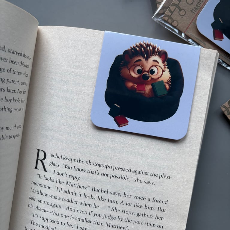 Reading hedgehog magnetic hedgehog bookmark. Hedgehog bookmark.