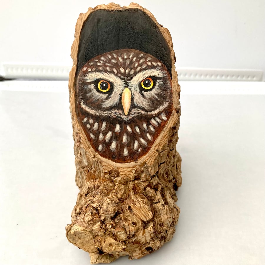 Little owl wood stump painting
