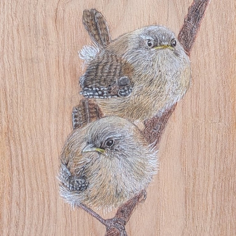 Original Wren Painting on Reclaimed Wood