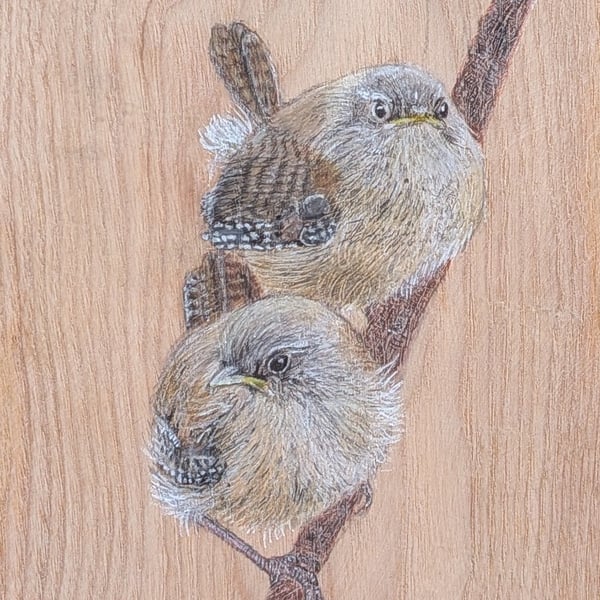Original Wren Painting on Reclaimed Wood