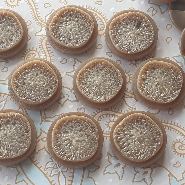 1 & 1 8" 28mm 44L VINTAGE Buttons Beige pitted effect VERY RARE