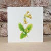 Wildflower Blank Card 'Cowslip'