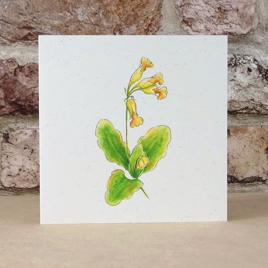 Blank Card Wildflower Cowslip Eco Friendly