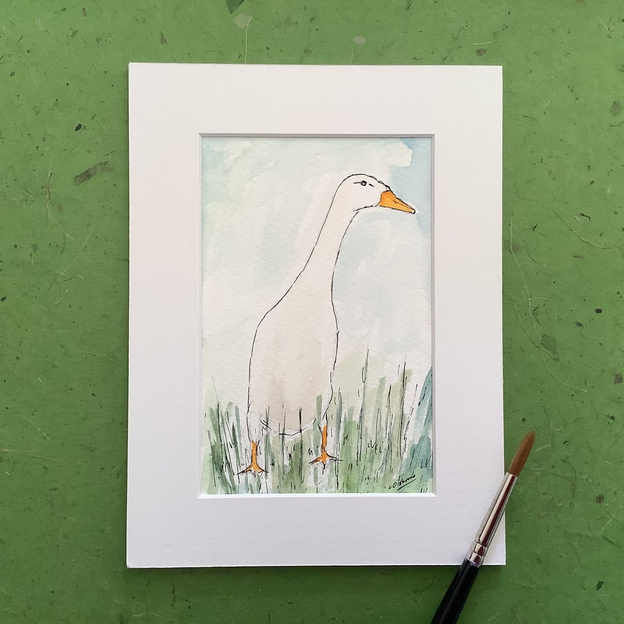 Runner duck. Original watercolour painting. Farm animal. Pet. Bird