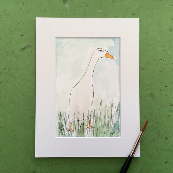 Runner duck. Original watercolour painting. Farm animal. Pet. Bird