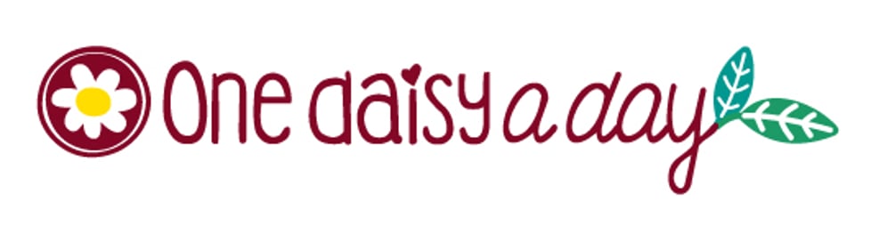 One Daisy a Day