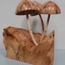 Fungi Sculpture on Yorkshire Grown Sycamore