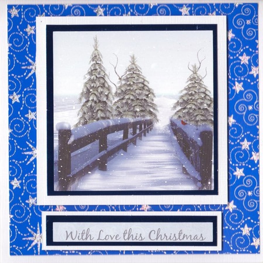 Snowy Footbridge (X505)