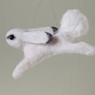 Arctic Hare running