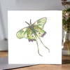 Luna moth Greeting card 