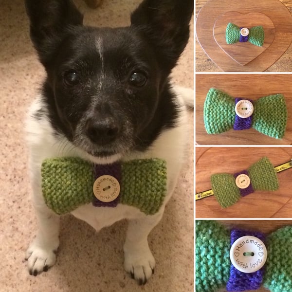 Doggy Bow Tie Pure Wool