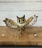 Spun Cotton Miniature Long Eared Owl