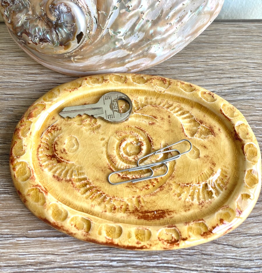 Ammonite imprint soap or trinket dish