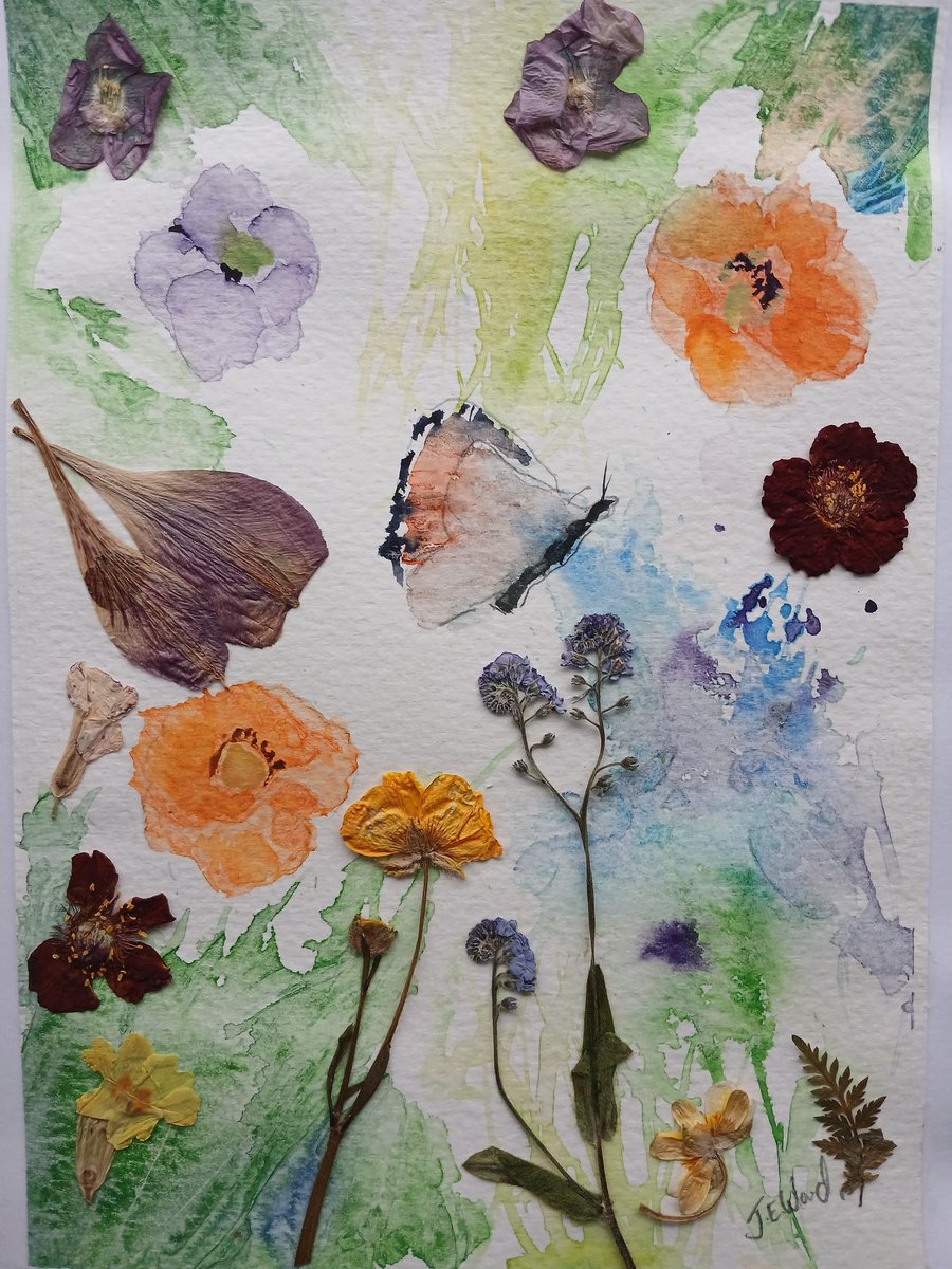 Butterfly Watercolour and Forget me nots Pressed flowers 