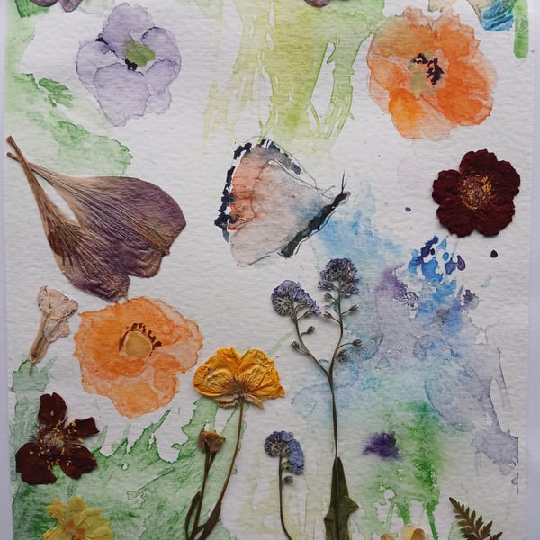 Butterfly Watercolour and Forget me nots Pressed flowers 