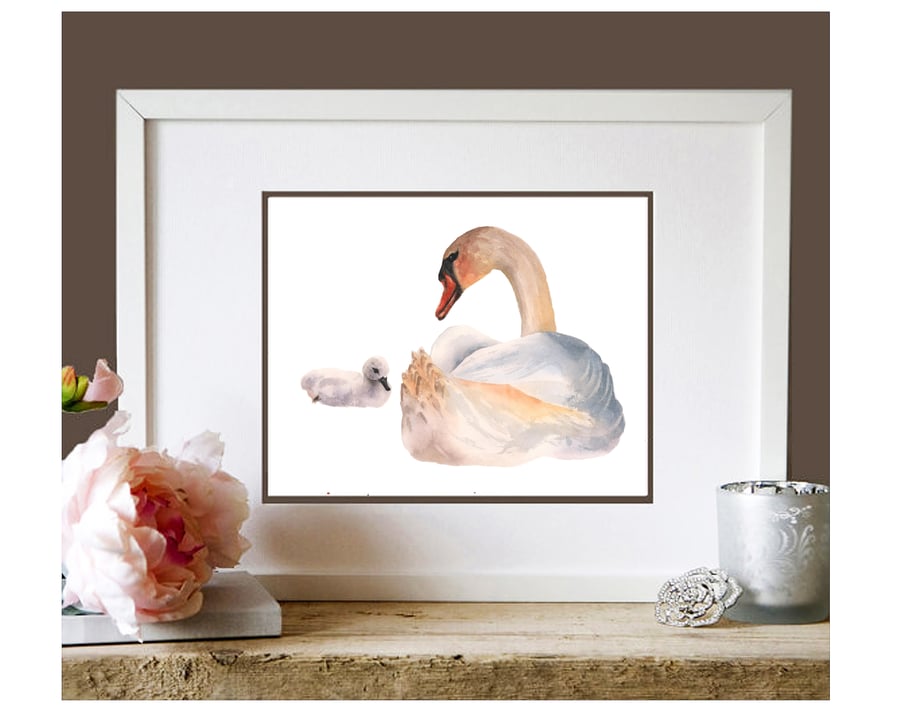 Swan Watercolour Print - adding grace to your space