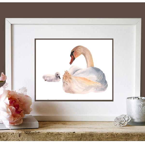 Swan Watercolour Print - adding grace to your space