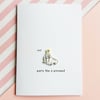 birthday card - party like a pinniped - handmade card 