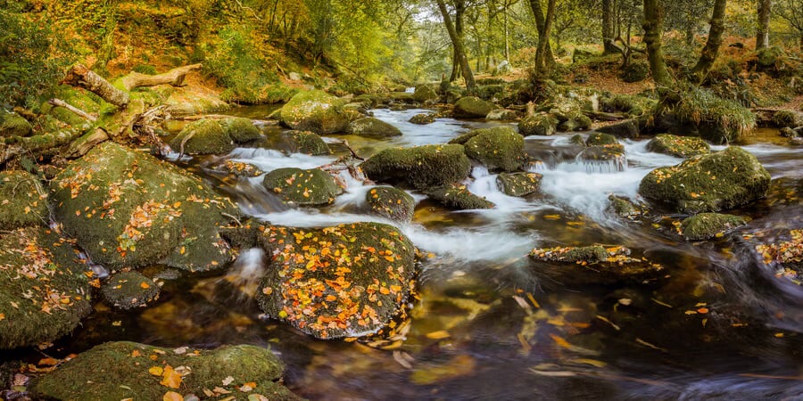 River Meavy in the autumn, Dartmoor, Devon - panoramic photo print