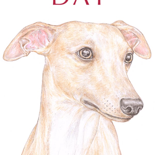 Oscar the Whippet - Father's Day Card