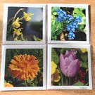 Pack of 4 Floral Greeting Cards, Flower Photography, Blank Inside, Square Card