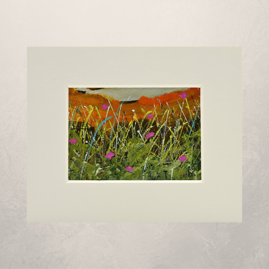 A Mounted ACEO of Tall Grasses and Wildflowers.