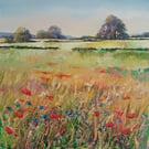 Wild Flowers Penhill Limited Edition Print 