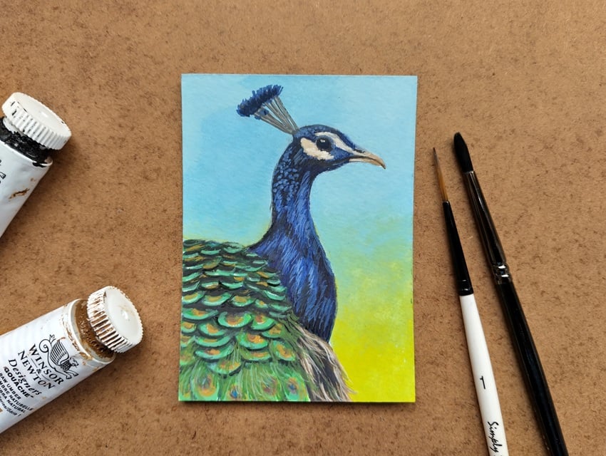 ACEO Original artwork of a Peacock