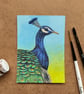 ACEO Original artwork of a Peacock