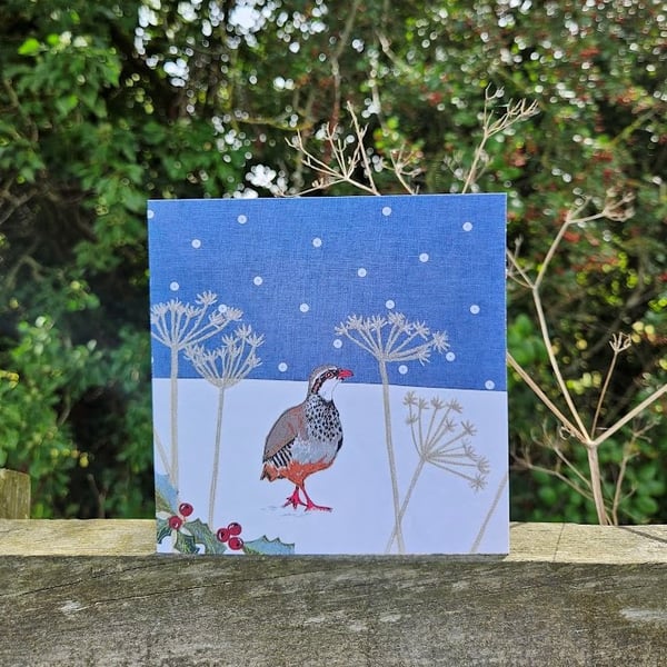 Red-legged partridge in Snowy Scene, Christmas card, Winter birthday, holly 