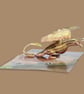 Golden Dragon 3D Pop Up Card – Fantasy Dragon Birthday Card