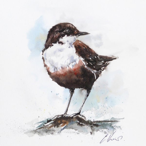 A Dipper, Professional Giclée Print.