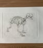 Drypoint Etching Print of a Badger Skeleton, Original Wildlife Art