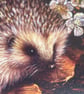 Cosy hedgehog Happy Birthday gate fold card - Image 9