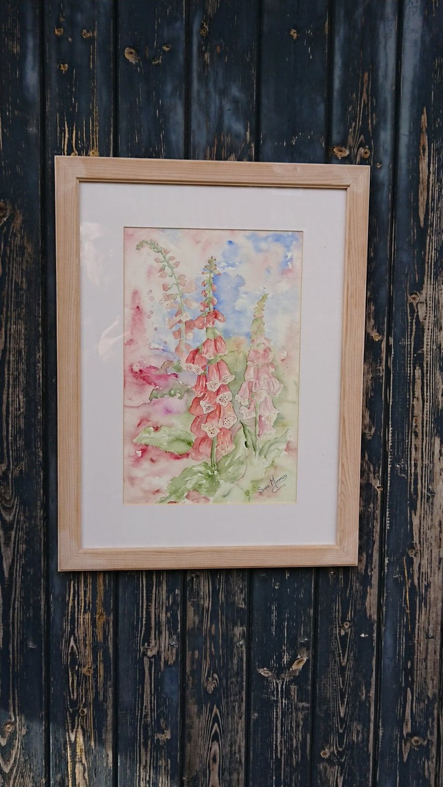 Pink foxgloves painting in Norfolk.