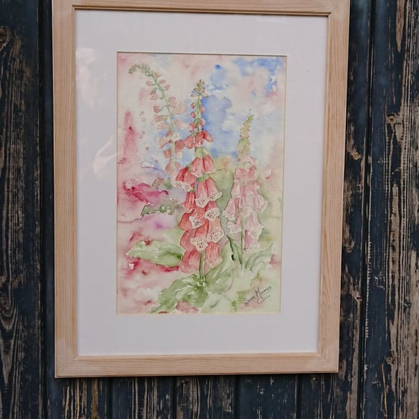 Pink foxgloves painting in Norfolk.