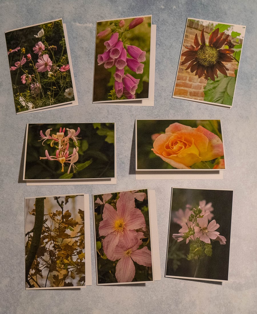 Pack of 8 Garden Flowers A6 Blank Eco Greetings Cards