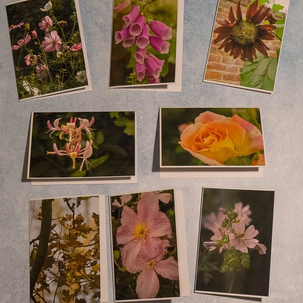 Pack of 8 Garden Flowers A6 Blank Eco Greetings Cards