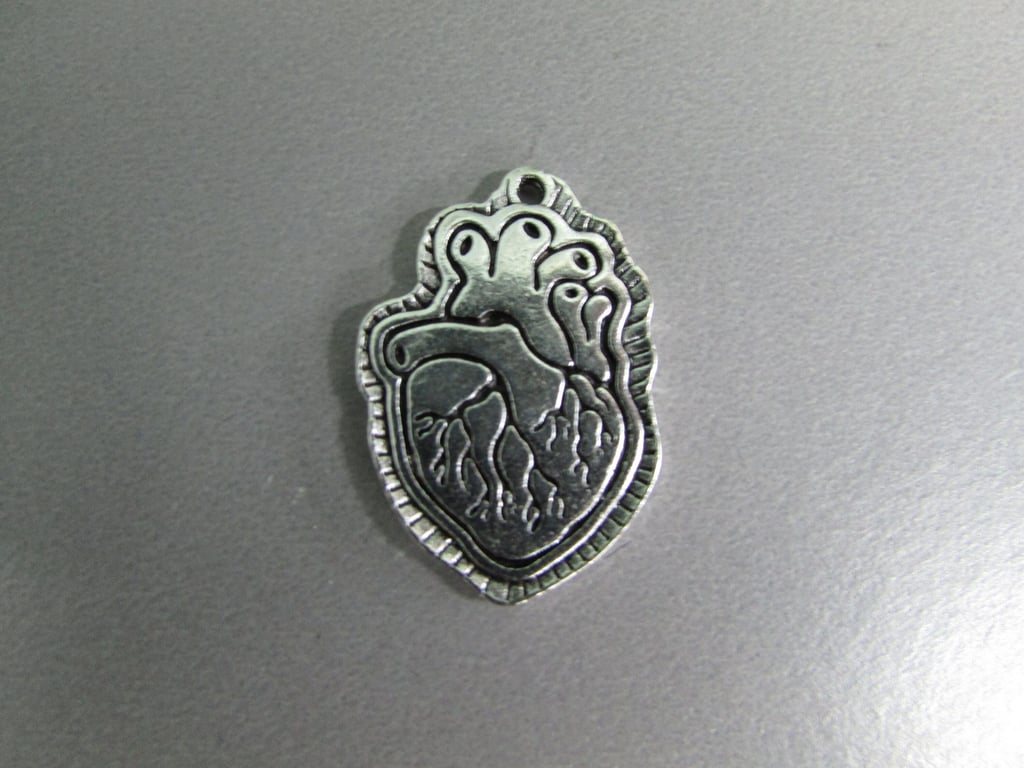 Anatomical Heart Jewellery making charm pendant