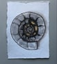 Grey Ammonite card  - Image 4