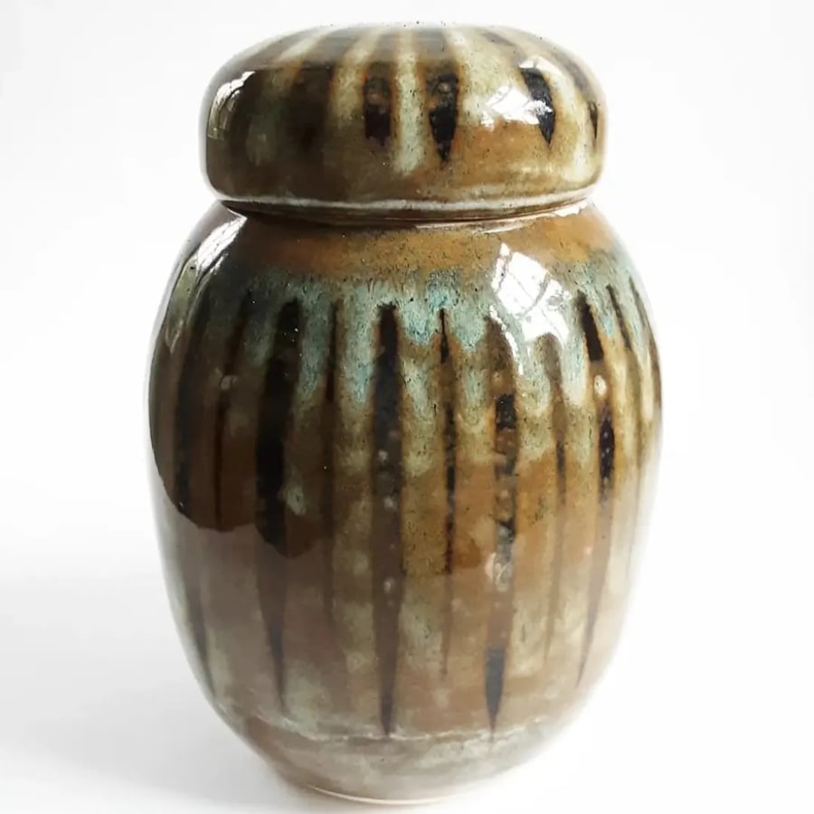 Hand Thrown Stoneware Ceramic Ginger Jar 