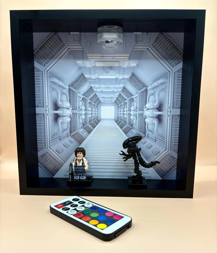 Alien inspired Illuminated picture frame with remote control