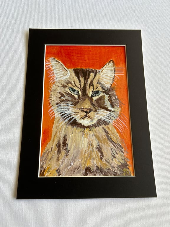 Original painting of a cat . 5x7" in acrylics pet portrait 