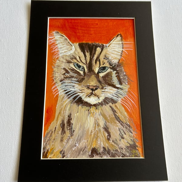Original painting of a cat . 5x7" in acrylics 