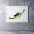 Turtle Watercolour Painting - Signed Limited Edition Print
